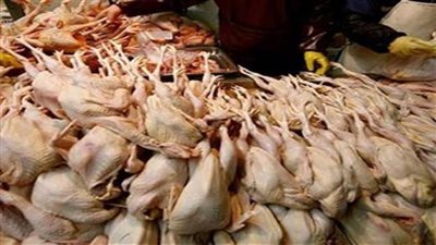 مصادرة 5 أطنان دواجن مجهولة المصدر بالجيزة