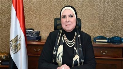 وزيرة التجارة والصناعة ورئيس البنك الإفريقي يستعرضان دعم السوق المصري 