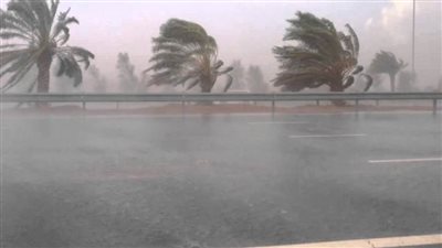 «الأرصاد»: طقس الأحد بارد ليلًا.. والصغرى بالقاهرة 11 درجة