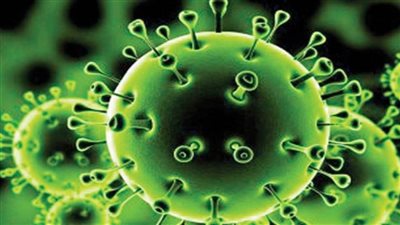 بالفيديو| «كورونا لم تمر من هنا».. دولة وحيدة خالية من الوباء