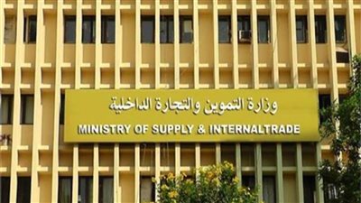 تعرف على خطة التموين لتوفير 17 ألف فرصة عمل على مستوى الجمهورية