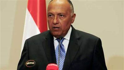 الخارجية: شكري وقع بيان العلا.. وأكد تقدير مصر لجهود تحقيق المصالحة 