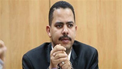 أشرف رشاد يعلن اختياره زعيما للأغلبية بمجلس النواب 