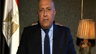 وزير الخارجية : مصر ترحب بأي جهد لتحقيق السلام والوصول إلى حل عادل للقضية الفلسطينية 