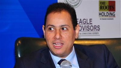 رئيس الرقابة المالية يكشف أداء القطاعات المالية غير المصرفية خلال عام 2020