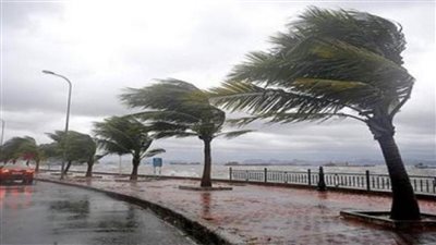 عاجل | «الأرصاد»: طقس الخميس شديد البرودة ليلًا.. والصغرى بالقاهرة 10 درجات