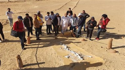 بالصور | لقرى متوافقة بيئيا.. انطلاق أعمال التطوير بـ