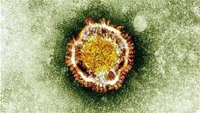 عاجل | مصدره «خفافيش الفاكهة».. «نيباه» أشد خطرًا من «كورونا»