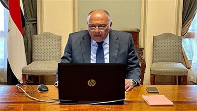 بالصور | وزير الخارجية يبحث مع نظيره البرازيلي القضايا الإقليمية والدولية