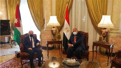 مصر والأردن تؤكدان على ضرورة وقف كافة التدخلات الأجنبية 