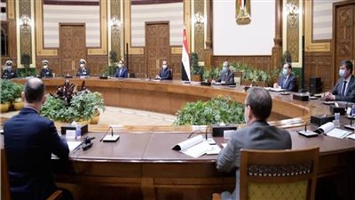 الرئيس السيسي يبحث مع رئيس شركة «ديمي» تطوير بحيرة البردويل 