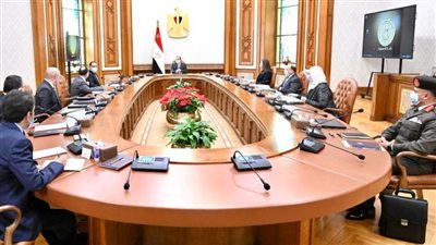  السيسي يوجه بالاعتماد على التصنيع المحلي بمكونات مشروع تطوير الريف المصري