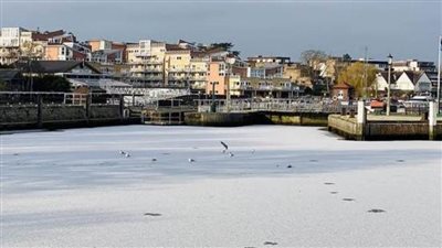 لأول مرة منذ 60 عاما.. تجمد مياه نهر التايمز البريطاني