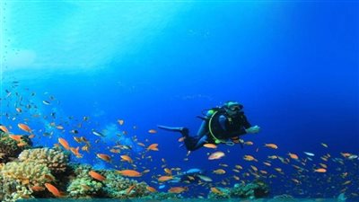 عاجل | بالصور | 