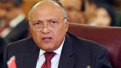 اتفقا على تكثيف الجهود لإنهاء الأزمة الليبية.. 