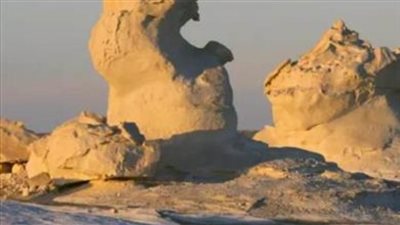 الجارديان تنشر تقريرا عن 