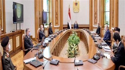 السيسي يوجه بمواصلة خطة الدولة للنهوض بمنظومة القطن المصري 