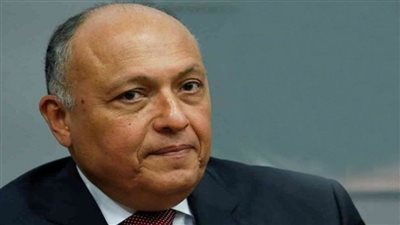 بالفيديو | وزير الخارجية يشارك في الشق رفيع المستوى لمؤتمر نزع السلاح