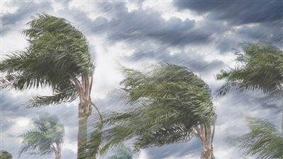 الأرصاد تكشف سبب زيادة الإصابات بالبرد المشابهة لـ