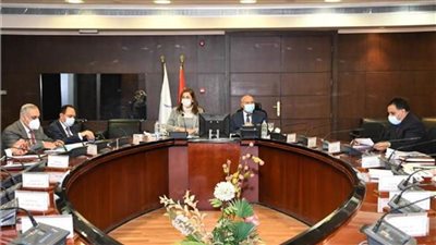 مشروعات الريف وحياة كريمة محور لقاء وزيري التخطيط والإسكان 