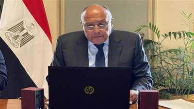 بالصور | نيابةً عن الرئيس.. شكري يشارك في قمة مجلس السلم والأمن الأفريقي