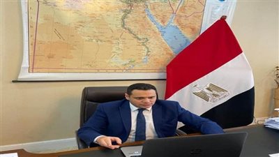 مصر ومالاوي يبحثان تعزيز التعاون الثنائي في مجال الصحة