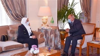 وزيرة الصحة تلتقي الأمين العام لجامعة الدول العربية لبحث سبل استمرار تقديم الدعم الطبي للدول العربية