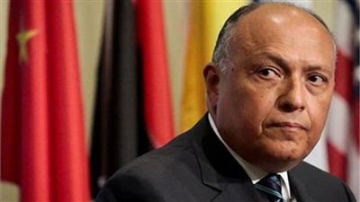 الخارجية: جولة مفاوضات سد النهضة لم تحقق تقدمًا (تفاصيل)