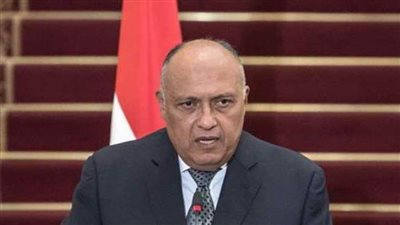 شكري: لم نلمس إرادة سياسية جدية لدى إثيوبيا لحل عقدة سد النهضة