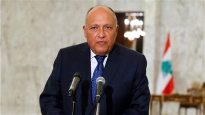 وزير الخارجية: استقرار لبنان يقتضي إنهاء حالة الجمود السياسي 