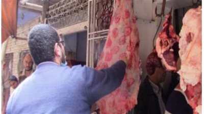 ضبط 17 طن أغذية فاسدة و32 سيارة ملوثة للبيئة 