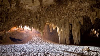 مدير عام أثار ماقبل التاريخ: مصر لديها 25 كهفًا الأفضل في العالم (فيديو)