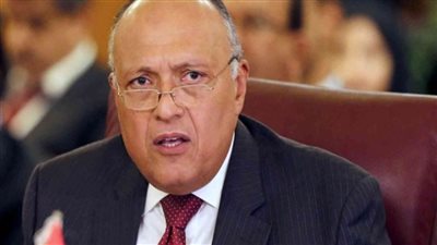 وزير الخارجية يسلم رئيس جنوب أفريقيا رسالة من السيسي (تفاصيل)