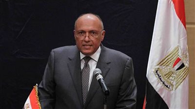 حاملاً رسائل من الرئيس السيسي.. جولة أفريقية لوزير الخارجية بشأن سد النهضة 