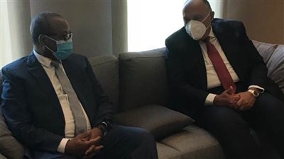  ضمن جولته الأفريقية .. سامح شكري يصل النيجر