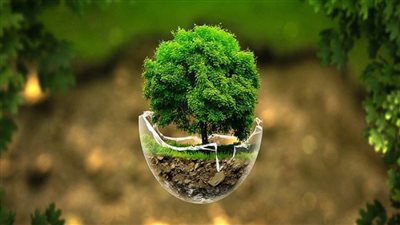 احتفالًا باليوم العالمي للأرض.. وزيرة البيئة تدعو الجميع للمشاركة في إنقاذ الكوكب