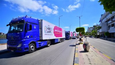 بالصور | توفر 80 طنا مواد غذائية ودواجن.. 