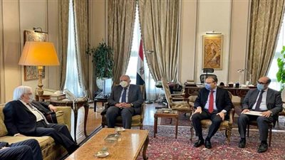 بالصور | خلال استقباله للمبعوث الأممي لليمن.. شكري يؤكد موقف مصر الداعم للحل السياسي
