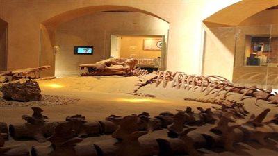 بالصور | وزيرة البيئة احتفالا باليوم العالمي للتراث: مصر نموذج لالتقاء الحضارات