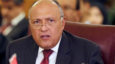 وزير الخارجية يستعرض مع نظيره الكرواتي آخر تطورات ملف سد النهضة