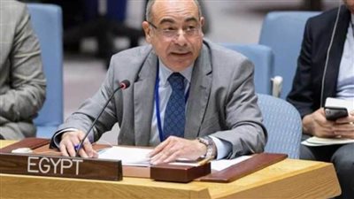 لماذا اختتم سفير مصر في الأمم المتحدة كلماته عن كورونا بـ