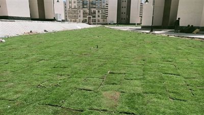 بالصور | الإسكان: جهاز 