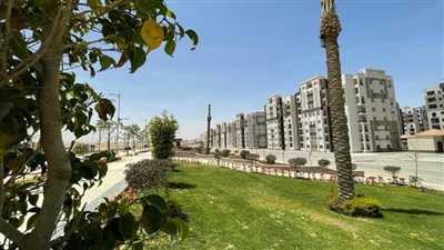 بالصور | جهاز 