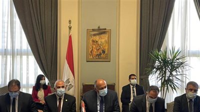 وزير الخارجية للمبعوث الأمريكي: نأمل في حل أزمة سد النهضة قبل الصيف 