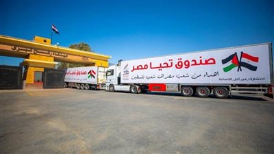 بالصور | تنفيذا لتوجيهات الرئيس السيسي.. قافلة 