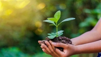 بمناسبة يوم البيئة العالمي.. شعراوي: مصر تسعى لتعزيز استراتيجية الاقتصاد الأخضر