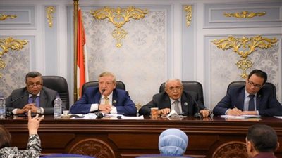 بالصور | «التخطيط» تستعرض خطط وموازنات البرامج أمام «خطة النواب»