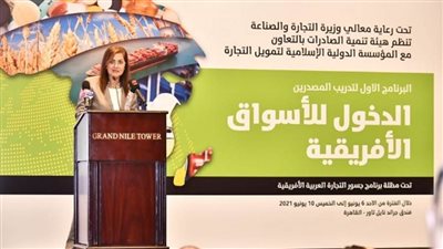 بالصور | وزيرة التجارة: مصر تتبنى خطة عمل طموحة لتعزيز العلاقات مع الدول الأفريقية