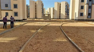 بالصور | مسئولو