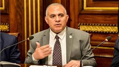 وزير الري يغادر إلى جنوب السودان لبحث تطورات ملف سد النهضة